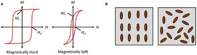 A Review of Magnetic Elastomers and Their Role in Soft Robotics